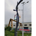 Pinsheng Galvanized Galvanized Smart Light Pole Integrado LED Lighting Polte con 4G 5G Estación basada en la nube Wifi